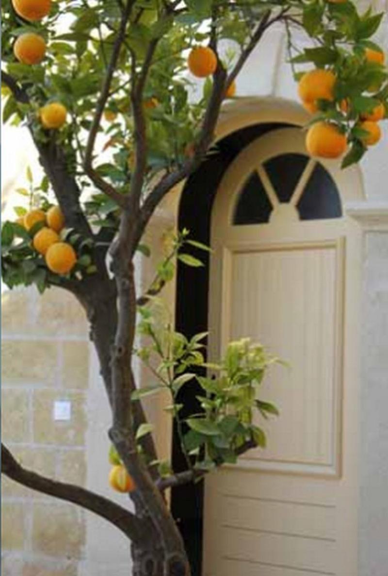 Pézenas Les Galeries De Beaulac מראה חיצוני תמונה